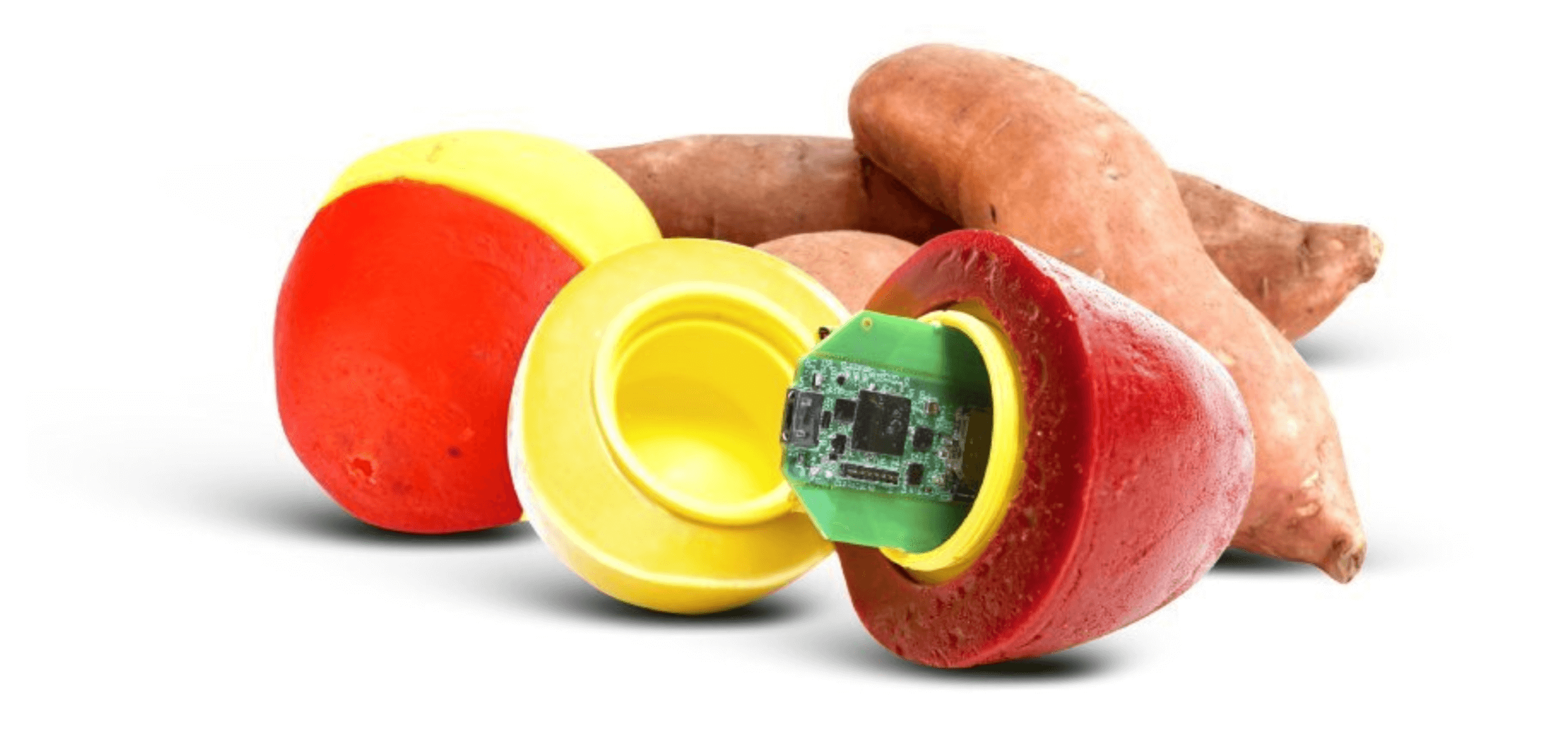 sweet potato with smartspud in-line smart sensor